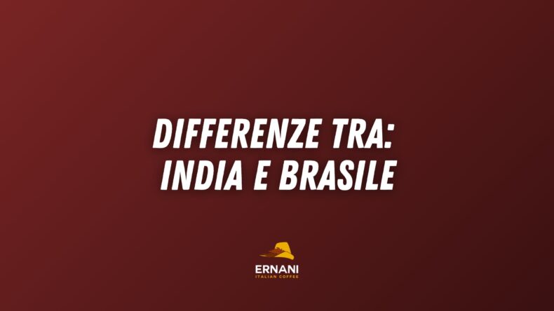 Copertina: Differenze tra: India, Brasile e Caffè delle Donne