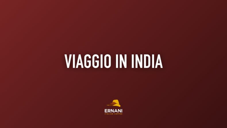 Copertina del video "Viaggio in India" da Martina di Caffè Ernani