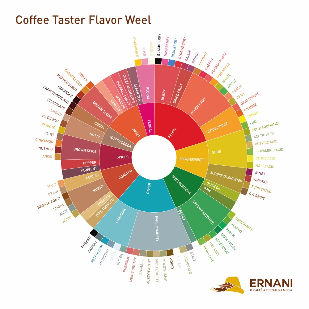 Ruota aromatica del caffè: un cerchio segmentato con indicati tutti gli aromi possibili del caffè tra positivi e negativi